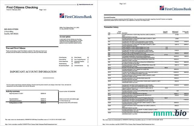 Szablon wyciągu bankowego z pierwszego wieku w programie Word i PDF